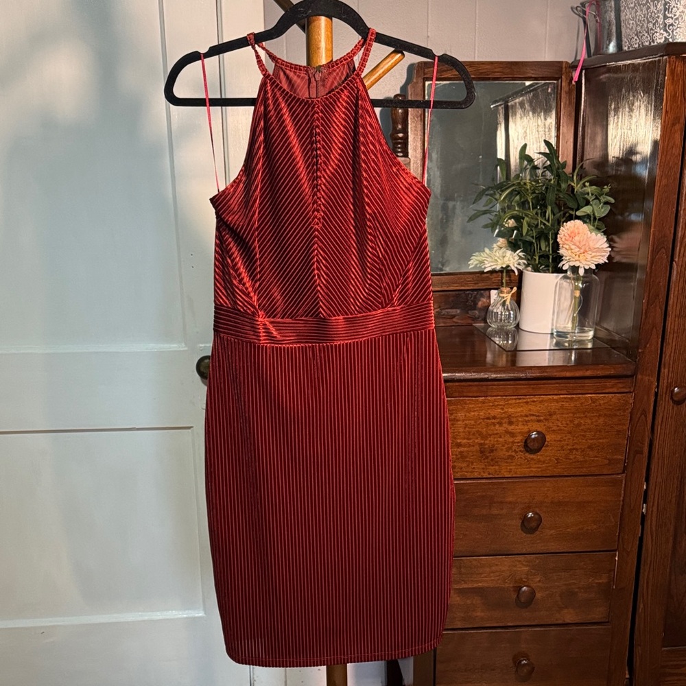 🤎 Dynamite Burnt Orange Velvet Midi Dress — Size M